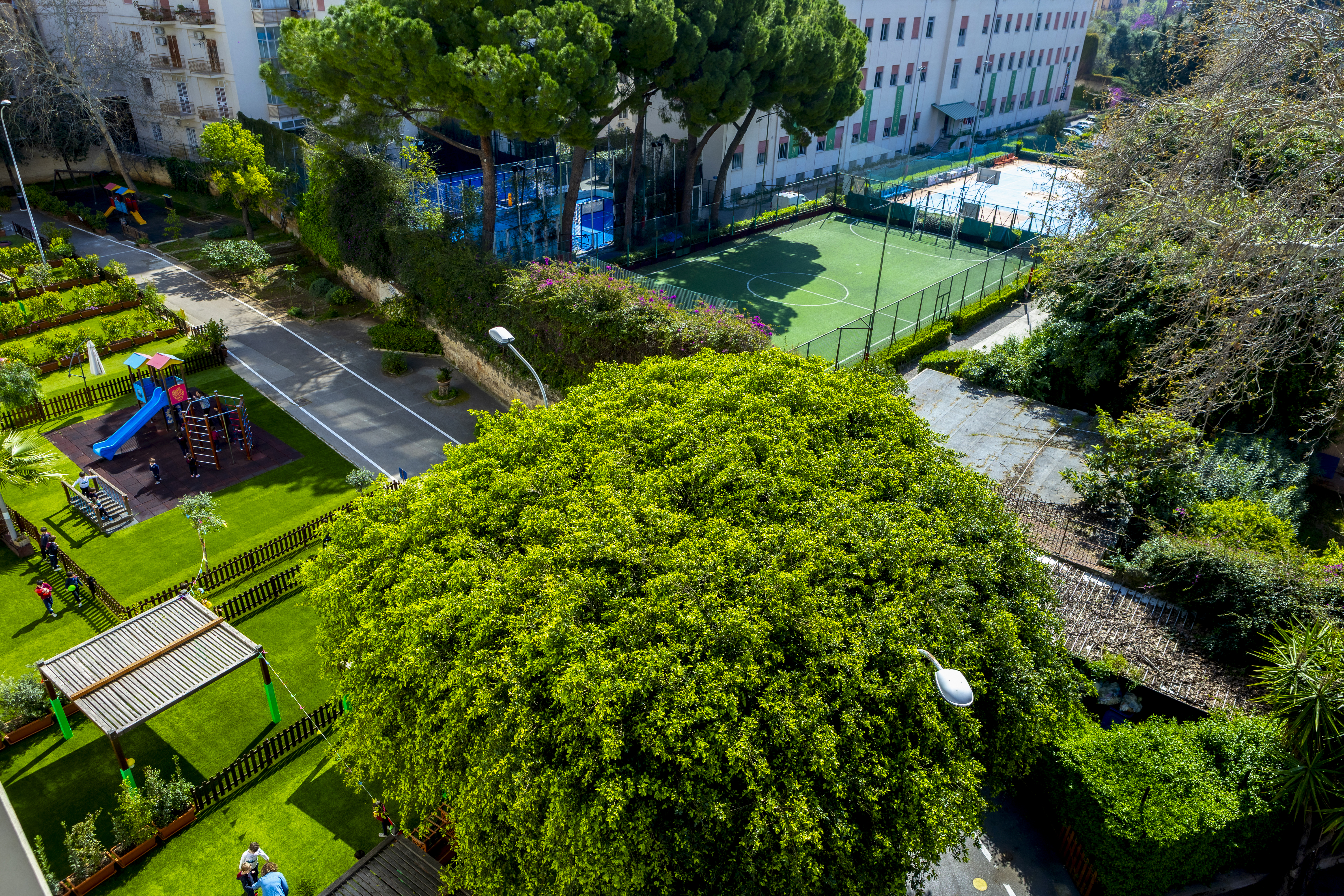 Servizi Scuola Primaria Gonzaga